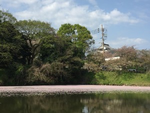 IMG_0296