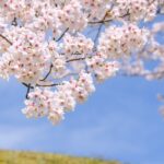 豊中市リフォーム店のスタッフブログ