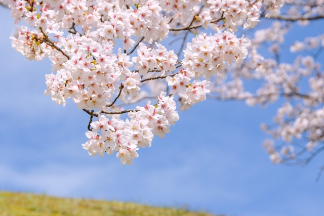 豊中市リフォーム店のスタッフブログ