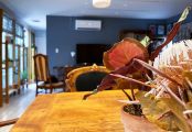 食卓を彩るのは南アフリカの花「プロテア」のドライフラワー